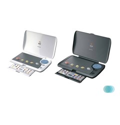 Evolution Master Palette
