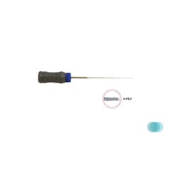 Dabliu Files SS H-Files