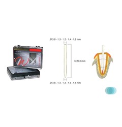 Dabliu Endo Post