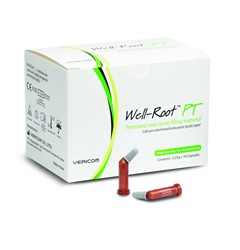 Well Root PT